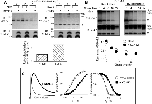 Fig. 9.