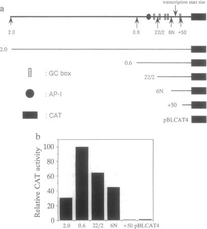 graphic file with name pnas01141-0293-a.jpg