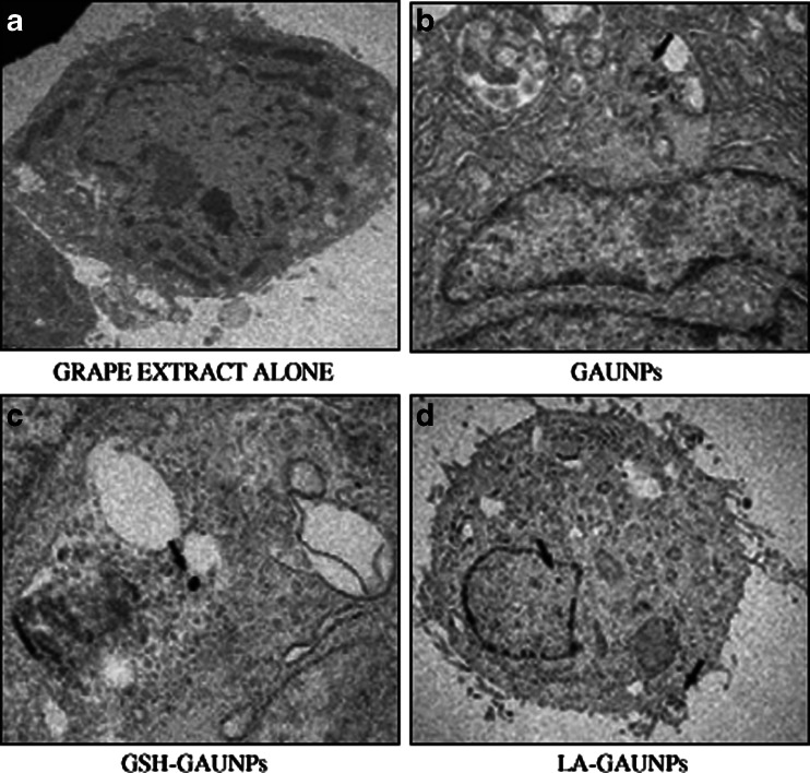 Fig. 10