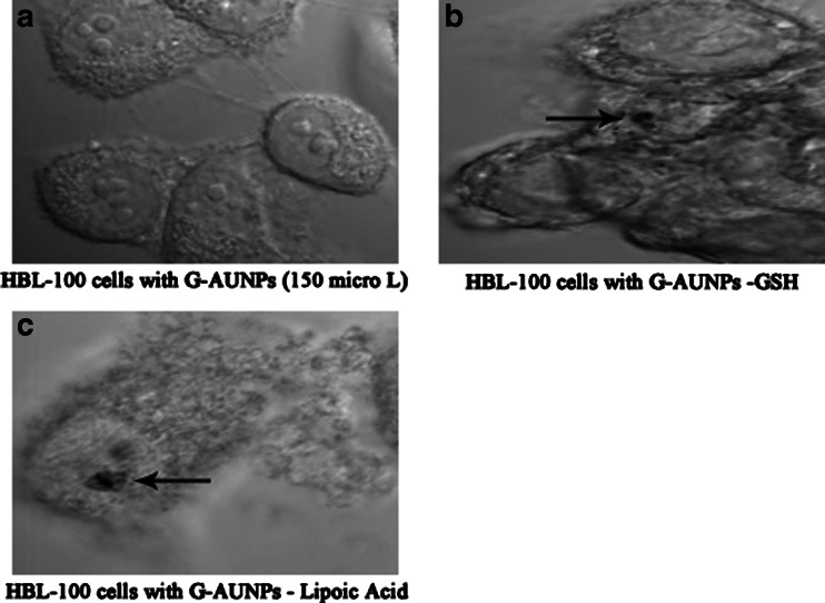 Fig. 9