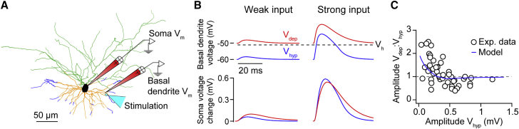 Figure 7