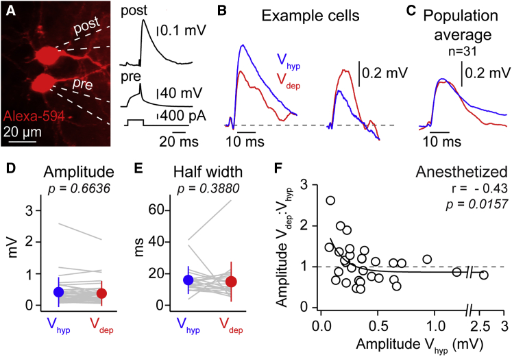 Figure 5