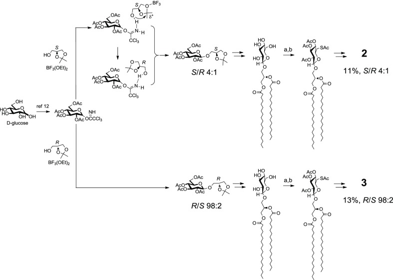 Scheme 2