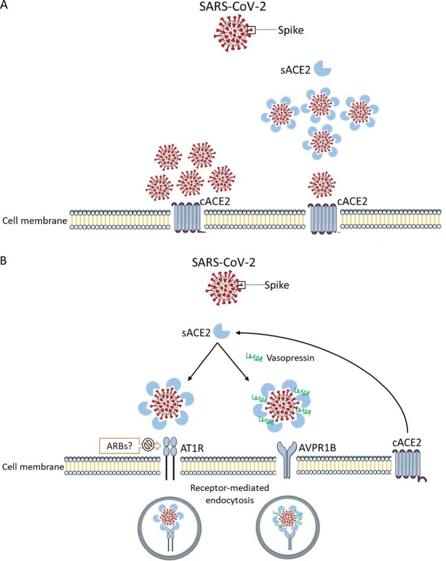 FIGURE 2: