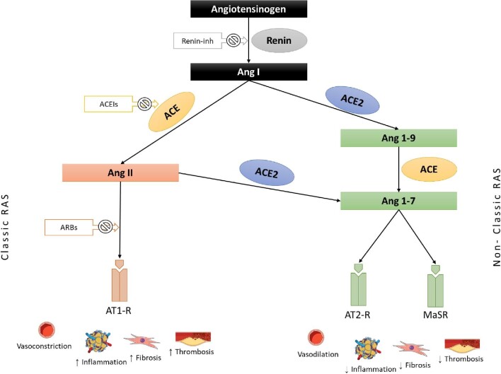 FIGURE 1: