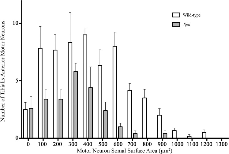 Fig. 3.