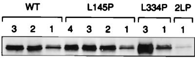 FIG. 11