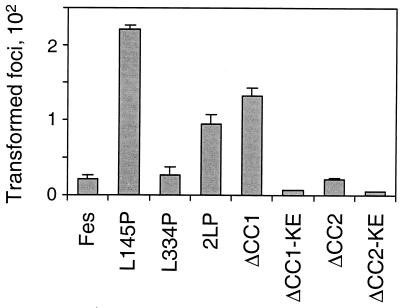 FIG. 5