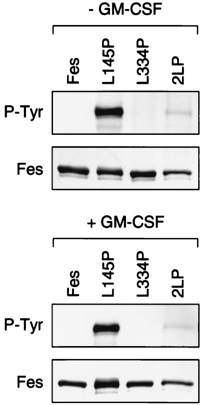 FIG. 9