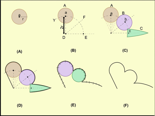 The Bilobed Flap - Critical Analysis and New Mathematically Precise ...