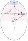 Fig. 10.