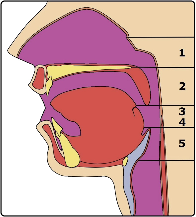 Fig. 1