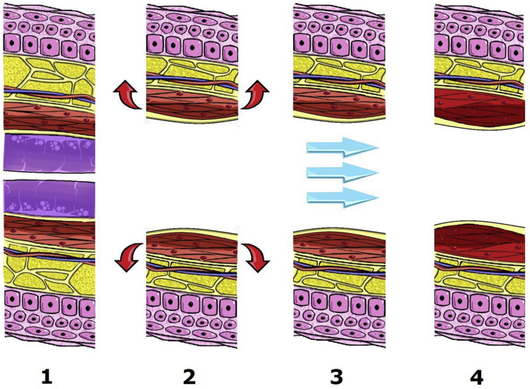 Fig. 8