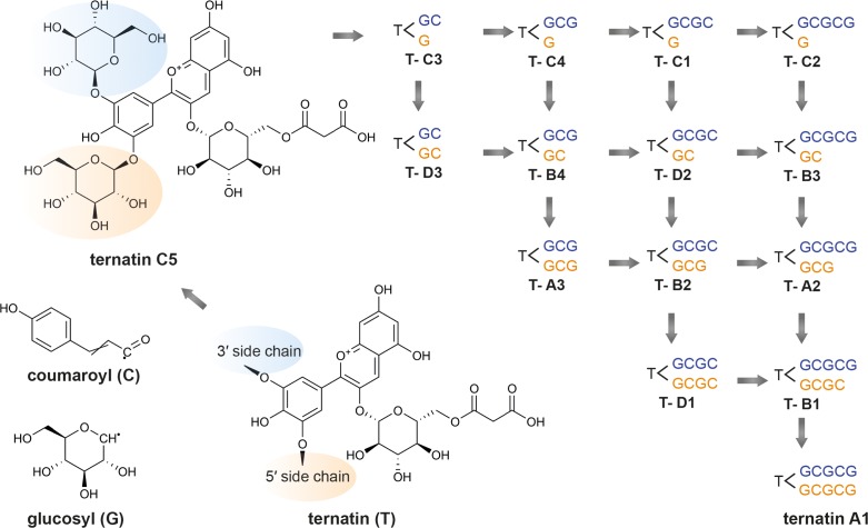 FIGURE 4