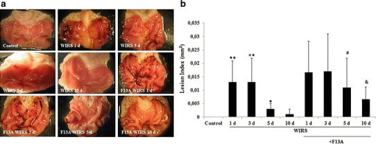 Fig. 3