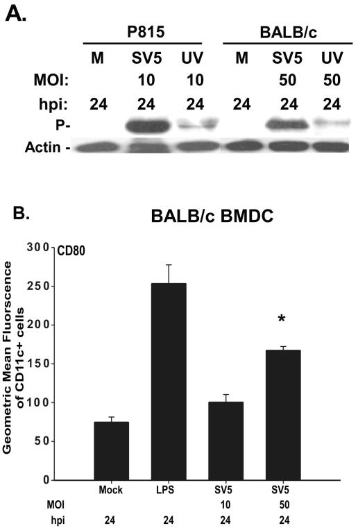 FIG. 9.