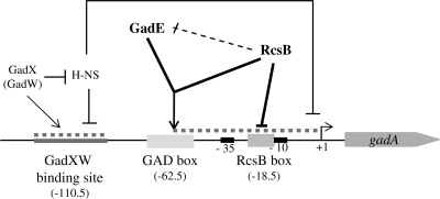 Figure 7.