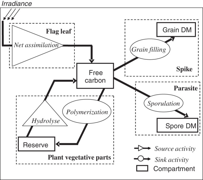 Fig. 1.