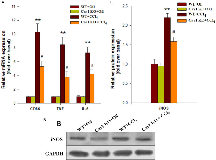 Figure 4