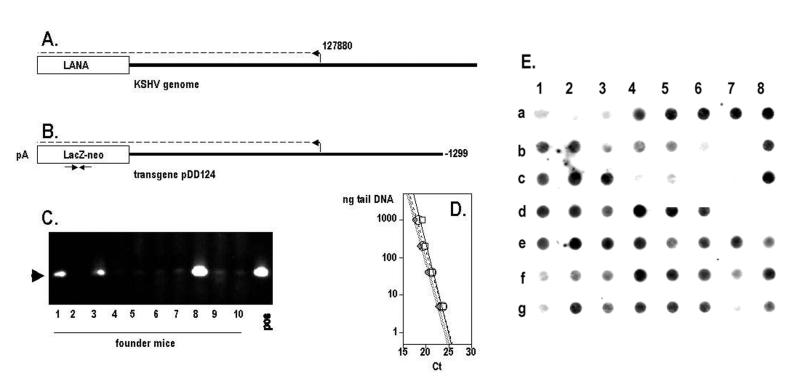 FIG. 1.