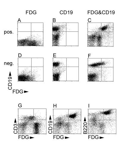 FIG. 5.