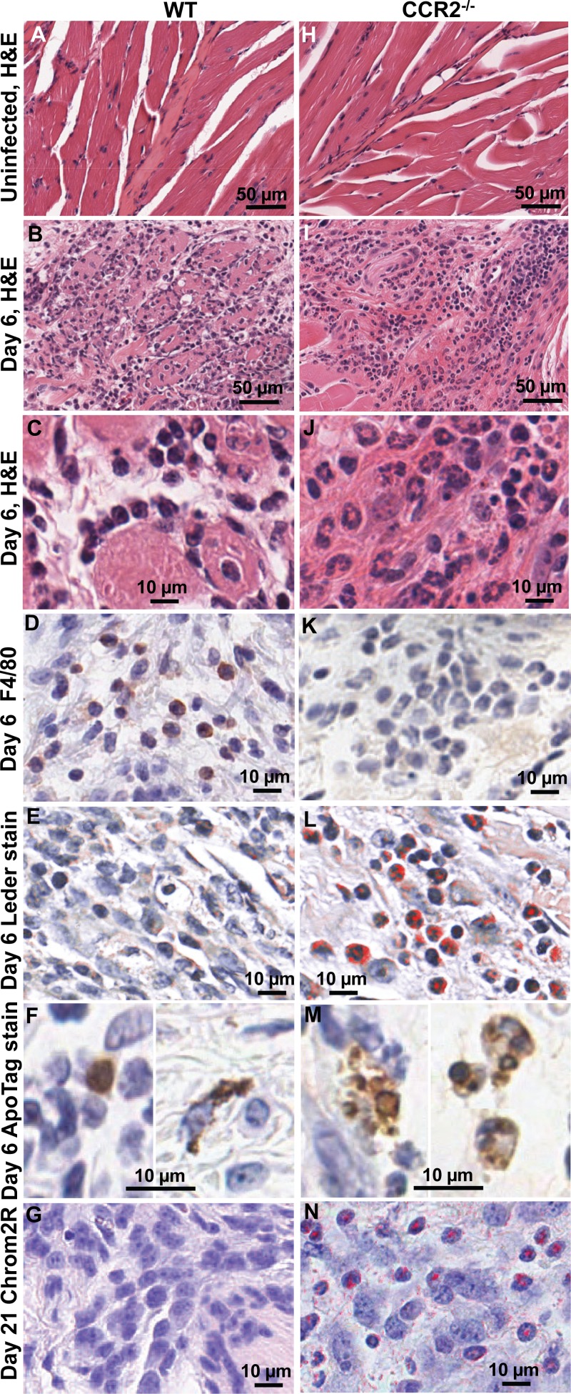 FIG 2