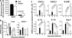 FIG 5