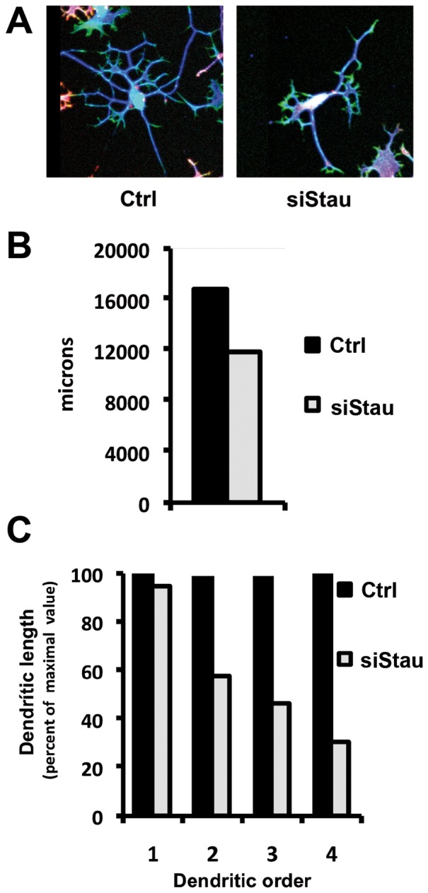 Figure 7