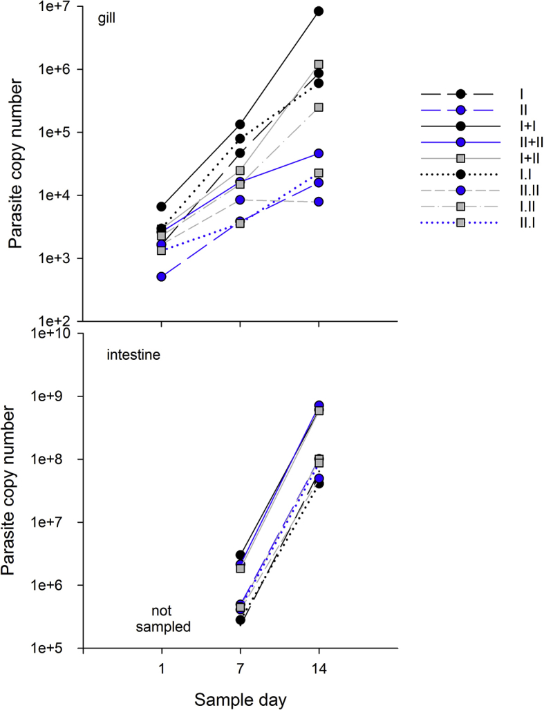 Supplemental figure S1