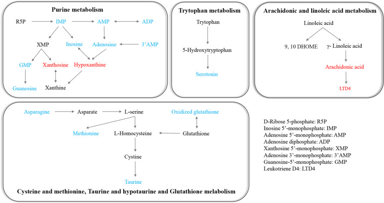 Fig. 4