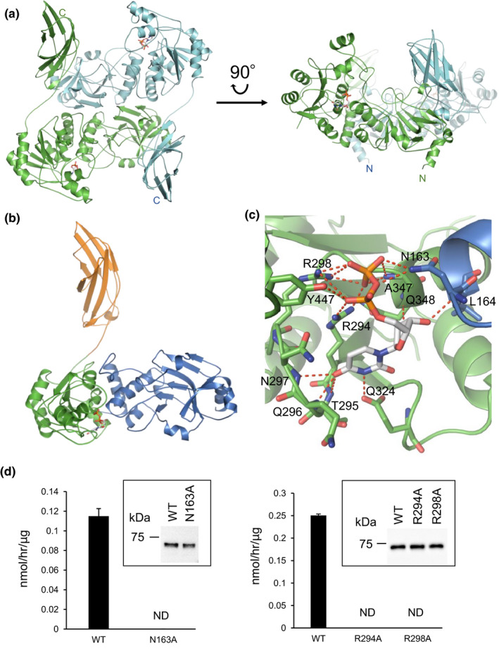 FIGURE 1