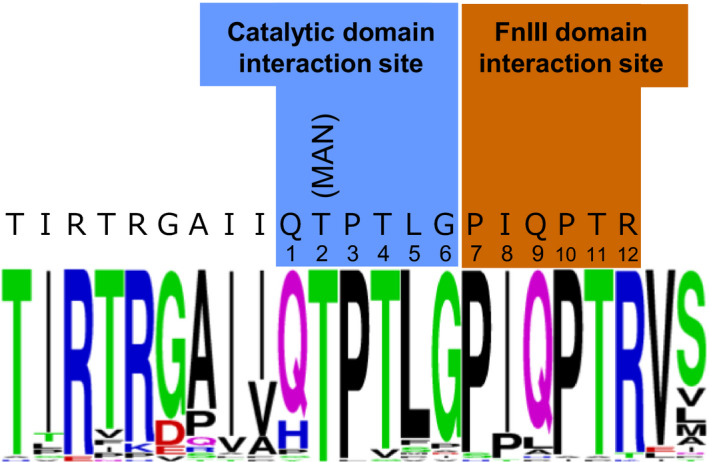 FIGURE 3