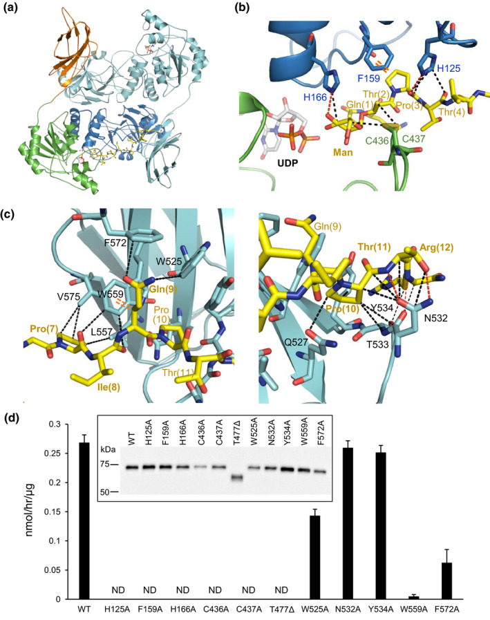 FIGURE 2