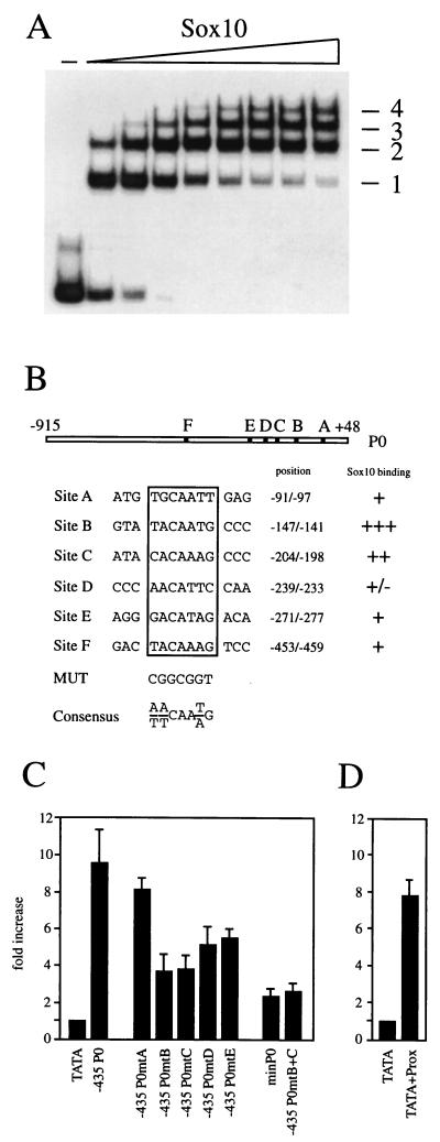 FIG. 6