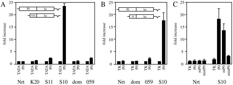 FIG. 3