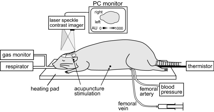 Fig. 1