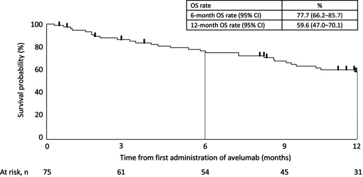 Safety and effectiveness of avelumab in patients with Merkel cell ...