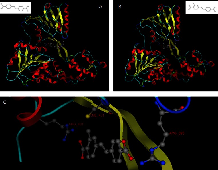 Figure 10