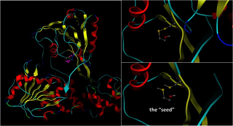 Figure 6