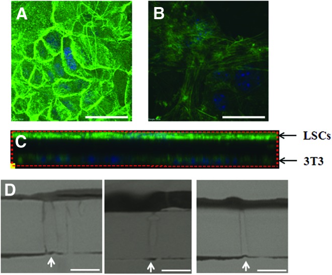 FIG. 7.