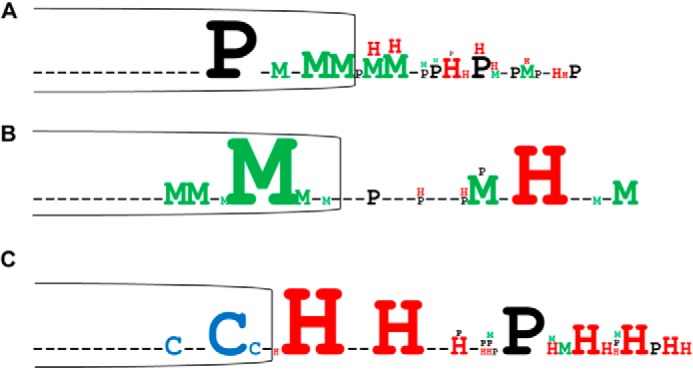 FIGURE 2.