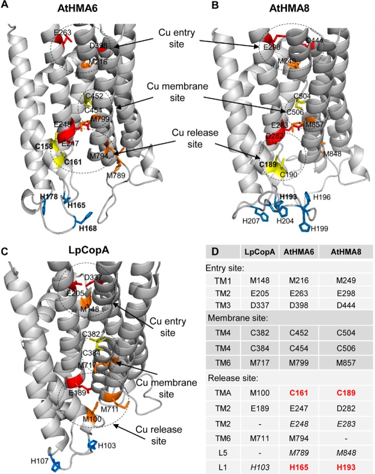 FIGURE 10.