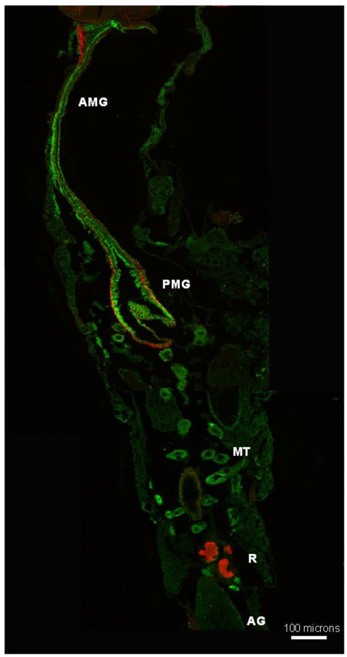 Figure 10