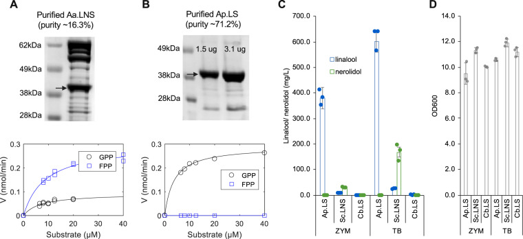 Fig. 4