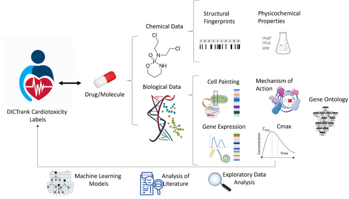 Figure 1: