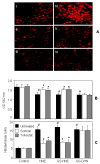 Fig. 12