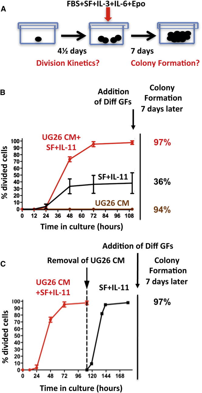 Figure 6