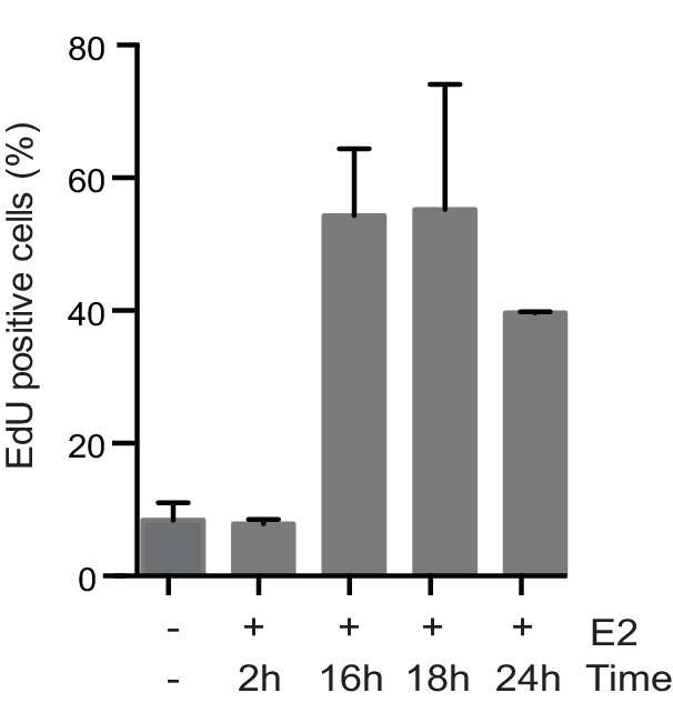 Figure 1—figure supplement 4.