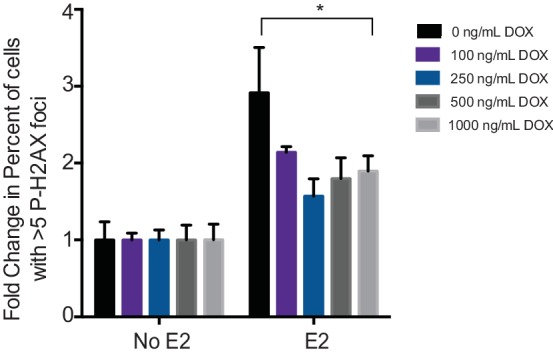 Figure 4—figure supplement 1.