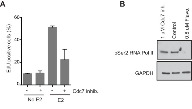 Figure 1—figure supplement 5.